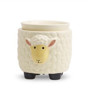 Pink Zebra Simmer Pot - Little Lamb